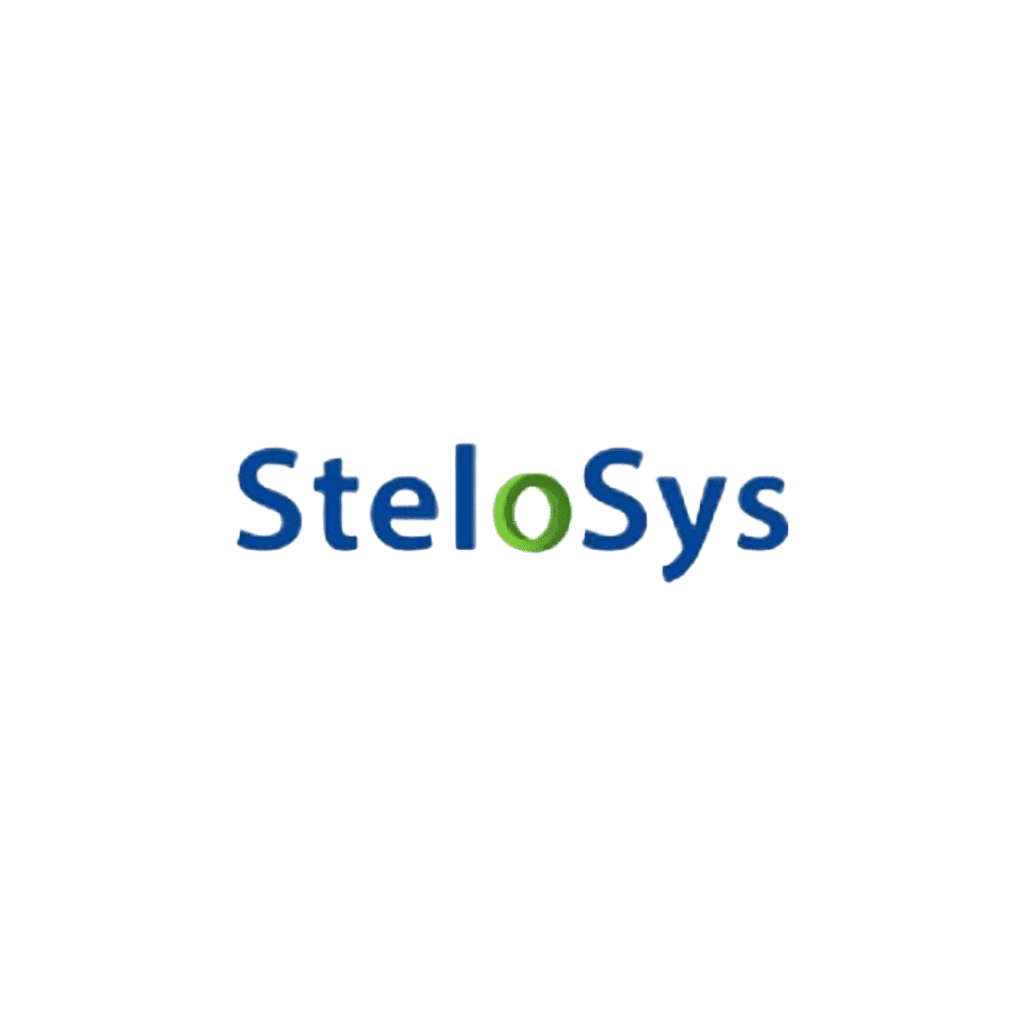 Digital Marketing Agency In Canada Stelosys 5 Digital Marketing Agency In Canada Stelosys 5