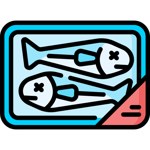 fish fish
