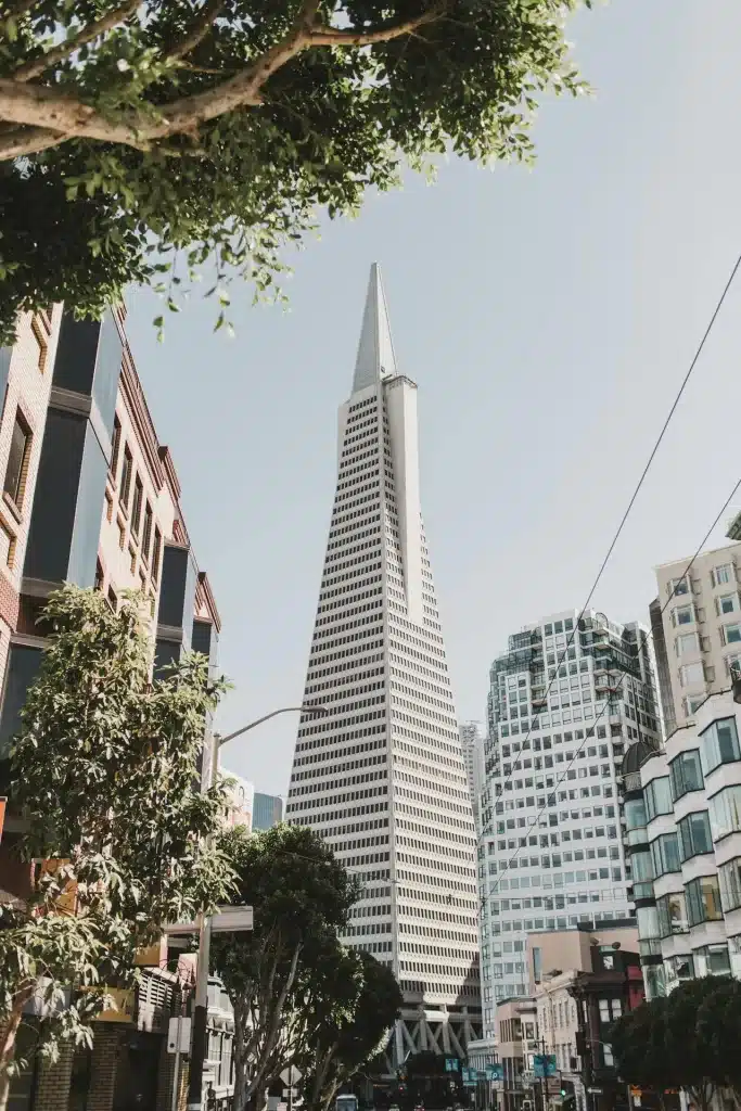 Digital Marketing Agency in San Jose pexels vlada karpovich 4449873 Digital Marketing Agency in San Jose pexels vlada karpovich 4449873